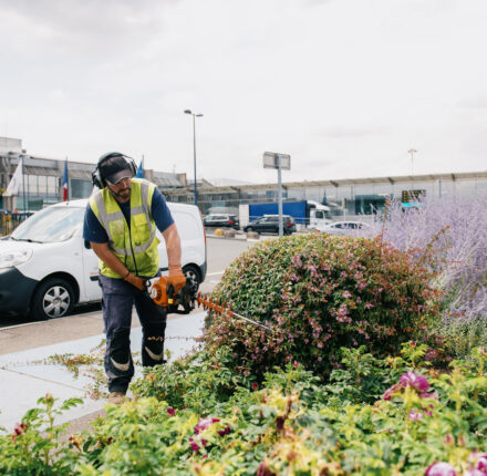 Création et entretien de vos espaces verts Saprena