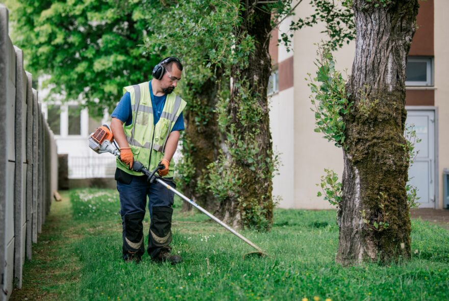 entretien espace vert travailleur handicapé d'une entreprise agréée jardinage