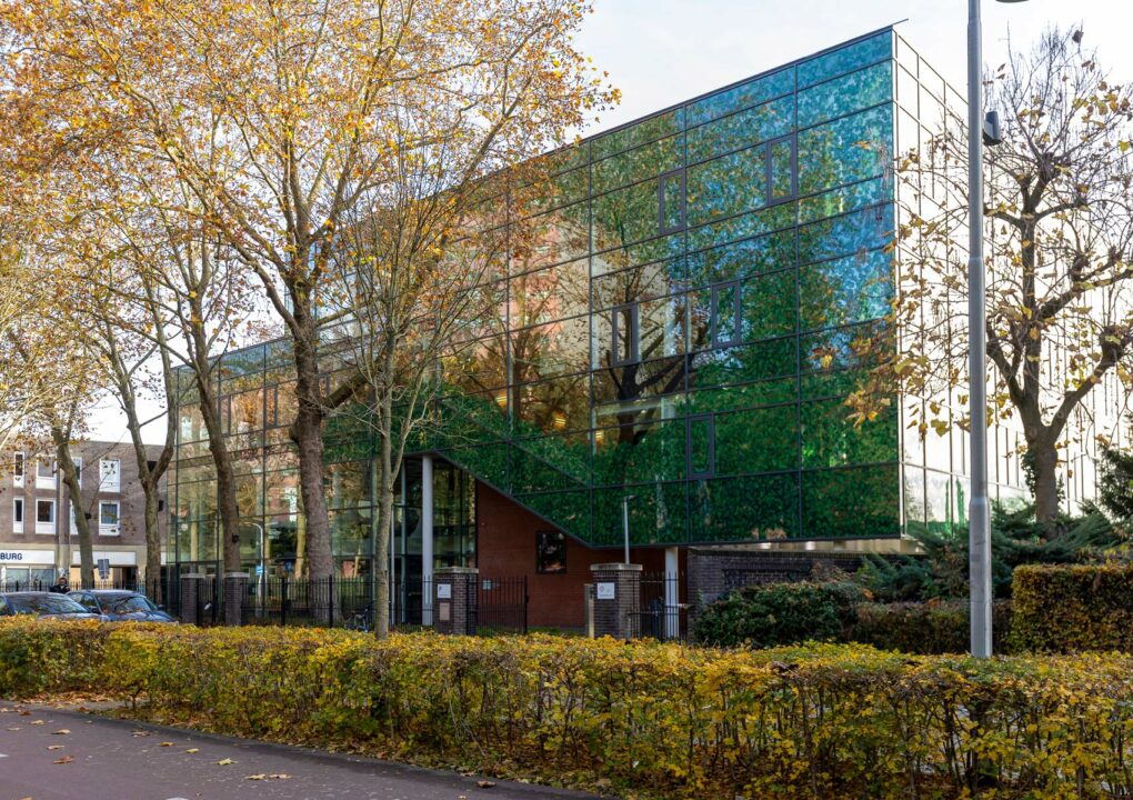 Entretenir ses espaces verts en hiver